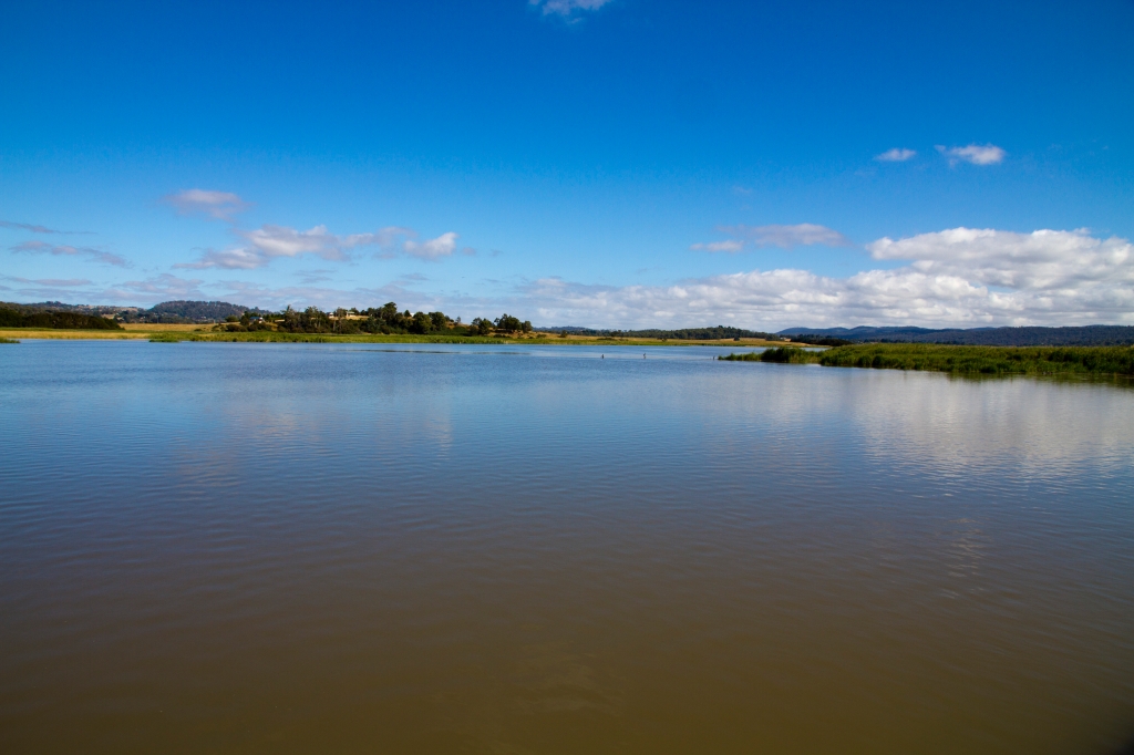 02 - Tamar island (2).jpg